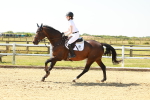 SBM_000375