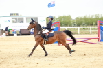 SBM_009031