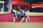 SBM_10690