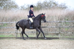 SBM_004793