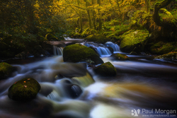 The Falls of Fall