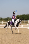 SBM_004329