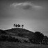 Colmers Hill 01