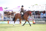 SBM_11168