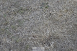 250823A-190223-34670