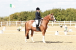 SBM_019238