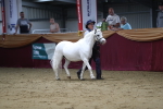 SBM_05089