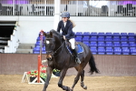 Class 2 - Senior British Novice - 90cm Open portfolio