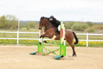 SBM_004921