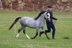 SIAL7914