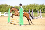 SBM_001150
