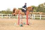 SBM_026902