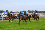 140726-Race 5-Crafty Spirit-1583