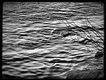 Mercurian_Waves