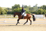SBM_002876