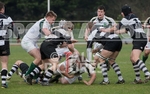 Rugby_Guernsey v Sutton  Epsom-34