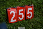 230924A-110218-04285