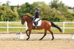 SBM_007662