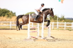 SBM_001263