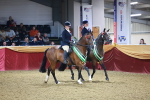 SBM_15193