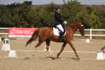 SBM_021897