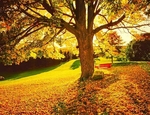 Istock #21533015
