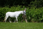 WJ7_1511