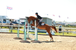 SBM_000606