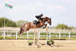 Class 26 - Senior Foxhunter - 1.20m portfolio