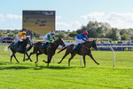 300926-Race 3-Fairydale-6164