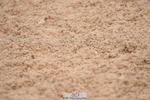 230628A-102218-00080