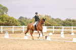 SBM_002046