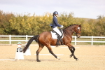 SBM_010341
