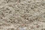 230304A-125436-00532