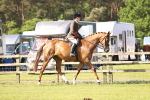 SBM_12494