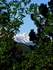 "Wilson's Peak Peek"