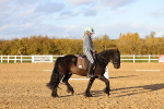 SBM_003256