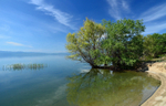 Great Prespa Lake (Megali Prespa), West Macedonia, Greece