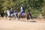 WJ6_7833