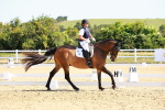 SBM_009619