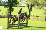 SBM_36315
