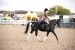 Class 12R Regional Ridden Pre-Vet portfolio