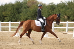 SBM_011178
