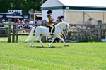 SBM_06468