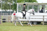 SBM_16162