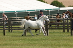 SBM_02389