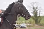 BPP_0869