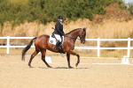SBM_017728