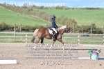 BPP_9081