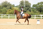 SBM_002033